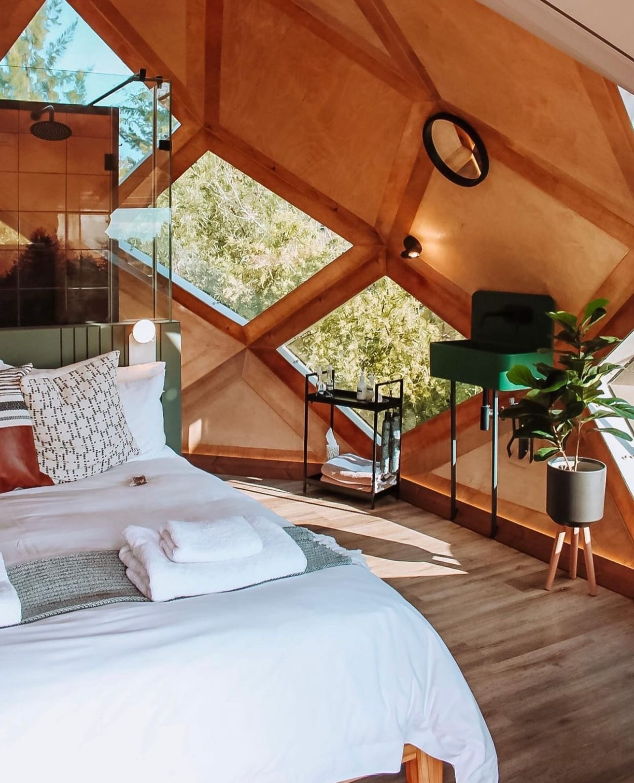 Sunlit timber interior with diamond windows at Rosemary Hill